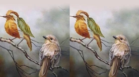 Quiz: Bạn là chỗ dựa vững chắc cho bạn đời hay là người lệ thuộc