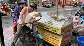 Ảnh vui 18-11: 'Lựa tờ vé số đi ba, trúng lên voi, trật xuống làm bạn với con'