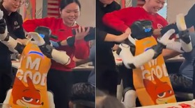 Robot 'quẩy tới bến' giữa nhà hàng nghi do... stress