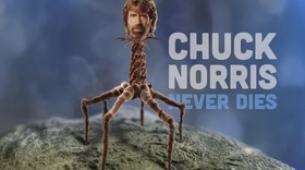 Tạm biệt Chuck Norris - chủ nhân loạt meme nổi tiếng cõi mạng