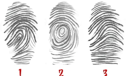 Quiz: Hoa tay ngón cái tiết lộ gì về con người bạn?