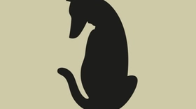 Quiz: Bạn tự tin, kiên trì và sẵn sàng đối diện với thử thách?