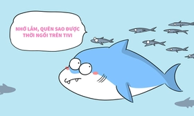 Bài học thiết thực từ cá mập hay nói đạo lý