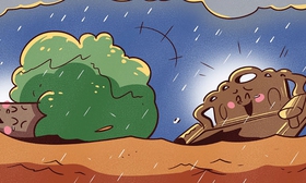 Trận lũ đưa cặp đôi cây rừng gặp lại nhau sau 10 năm xa cách