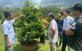 Nỗ lực phát triển hợp tác xã nông nghiệp