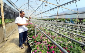 Xây nhà tạm trên đất nông nghiệp: Trúng nhu cầu làm nông nhưng tránh biến tướng