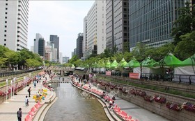 Giá nhà Hàn Quốc 'phân cực' cao nhất trong gần 17 năm