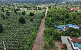 Lập tổ rà soát để xử lý vụ nghi gian lận chấm thầu ở Đắk Lắk