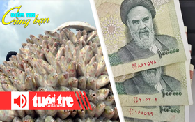 Điểm tin cùng bạn 8h: Bangladesh điều tàu chiến bảo vệ cá hilsa; Iran cắt 4 số 0 khỏi đồng nội tệ