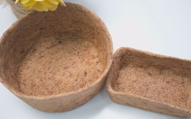 Cuộc thi Lan tỏa năng lượng tích cực 2025: Lựa chọn xanh, hành tinh xanh