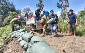 Xã Đông Thạnh, TP.HCM khẩn trương gia cố bờ rạch ứng phó triều cường