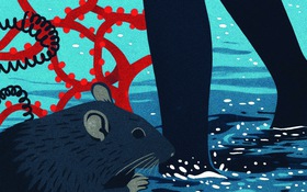 Mầm bệnh lẩn khuất trong dòng nước