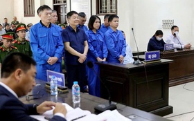Doanh nhân La 'điên' cùng loạt lãnh đạo huyện chuyển đổi đất trái luật lãnh án tù