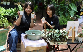 Người trẻ “mê cây” tại triển lãm kiểng lá Thảo cầm viên Sài Gòn