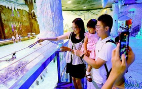 Người ta cưới nhau để làm gì?