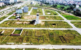 Tin tức sáng 21-12: Quy định mới về bảng giá đất; Côn Đảo sắp có tuyến buýt điện đầu tiên