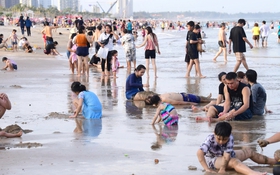 Đi lại dịp lễ 2-9: Máy bay khó đã có xe đò, xe tự lái