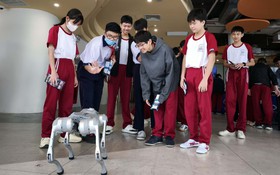 Buổi học giữa không gian sáng tạo