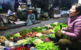 Những mảnh chợ đập nhịp dân sinh