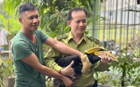 Tất bật tiếp nhận và cứu chữa động vật hoang dã do người dân TP.HCM giao nộp