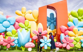 Số doanh nghiệp thành lập mới tại Lâm Đồng tăng đột biến