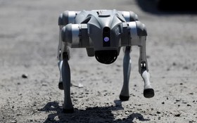 Chó robot sẽ hỗ trợ cảnh sát Mexico tại World Cup 2026