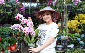 Ngắm phố phường Đà Nẵng rực rỡ sắc xuân, thị trường hoa Tết sôi động