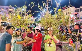 'Chợ' nhánh mai vàng ở Long Xuyên rộn ràng tối 28 Tết, giá rẻ hơn năm trước