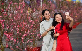 Gieo tử tế cho năm mới bình yên