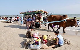 Tết vừa qua, lễ lại đến: Phải tính cách giữ nhịp độ học hành, công việc