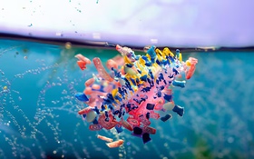 Phát hiện mới: Một thực phẩm quen thuộc giúp loại bỏ vi nhựa khỏi cơ thể