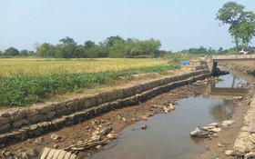 Mặn xâm nhập sâu ở Đà Nẵng, phải bơm lách mặn cứu lúa