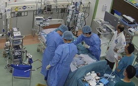 Bé gái bị viêm cơ tim cấp nguy kịch được cứu sống, kịp chào đón ngày lễ trọng đại của đất nước