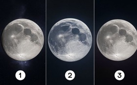 Quiz: Bạn là người có lòng đồng cảm sâu sắc?