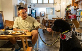 Nhà hàng Hong Kong mở cửa chào đón 'thực khách bốn chân'