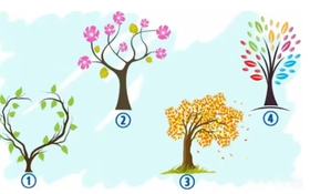 Quiz: Cảm xúc nào đang chi phối cuộc sống của bạn?