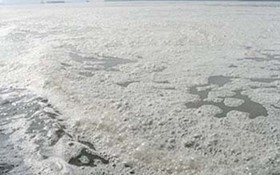 Vedan: ế ở châu Á, bội thu ở VN