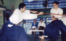 Tinh hoa kiếm pháp