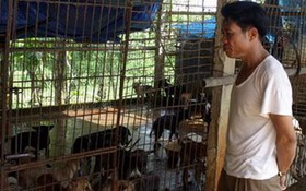 Buôn chó xuyên quốc gia