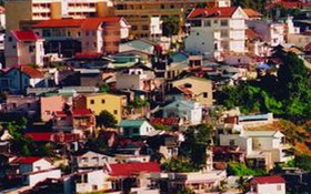 Đà Lạt có còn là "thành phố ngàn hoa"?