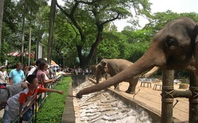 Sân trường: còn đâu ký ức tuổi thơ?