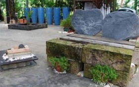 "Đại sứ xanh"