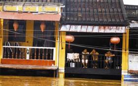 Lũ ơi!