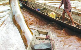 Vớt củi trên sông Đà