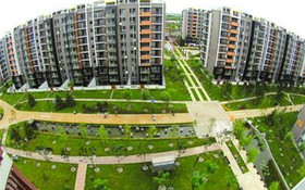 Hào quang của Thế vận hội