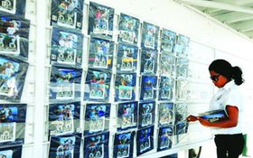 Chụp ảnh dạo ở Mỹ