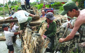Cần thay đổi tư duy về bài toán chống ngập