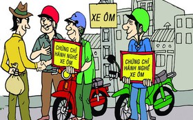 Phải thế chứ…