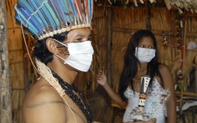 H1N1 làm "cúm" đà hồi phục kinh tế