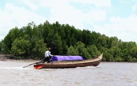 Nước sông trong sao cứ chảy hoài...